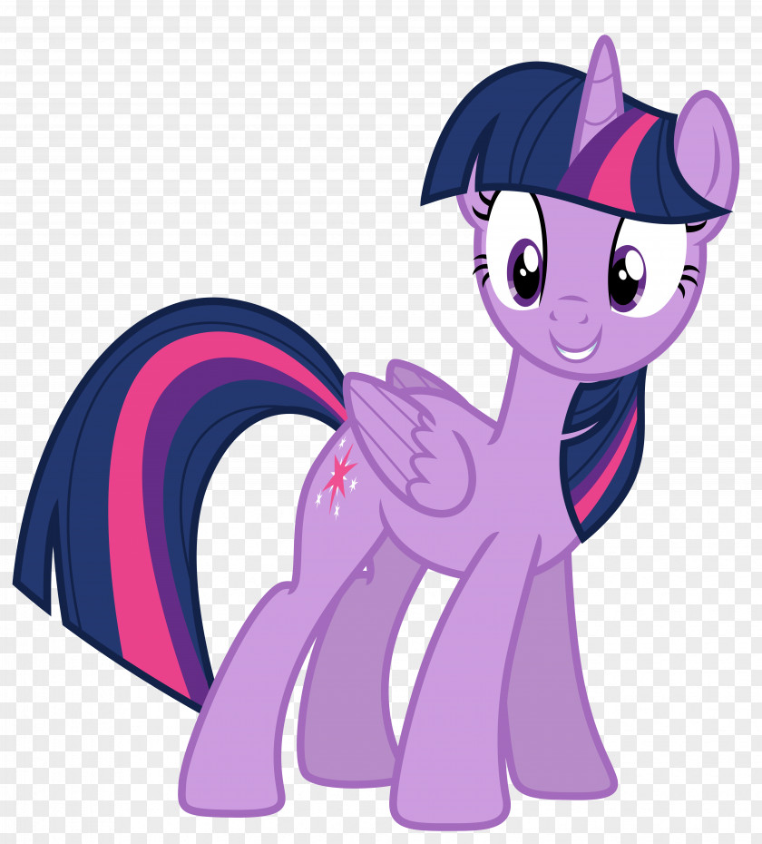 Twilight Sparkle My Little Pony The Saga PNG