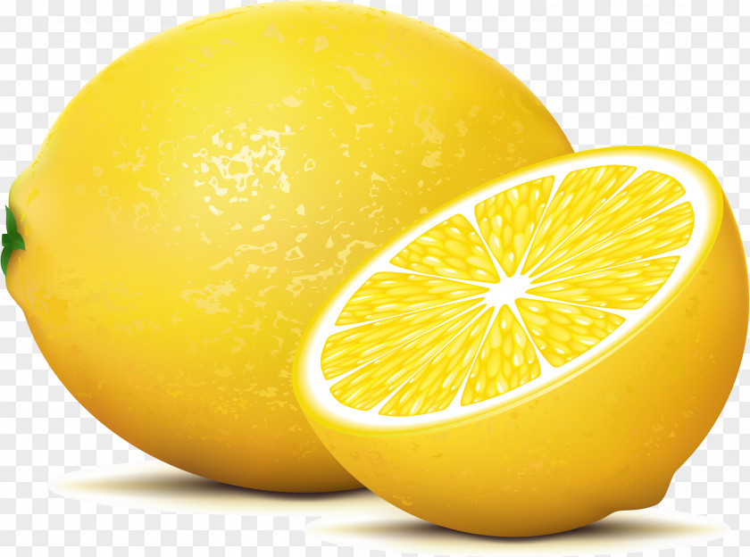 Vector Lemon Fruit Juice Lemonade PNG
