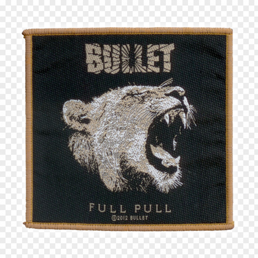 Anniversary Promotion X Chin Full Pull Bullet Album Dust To Gold Heading For The Top PNG