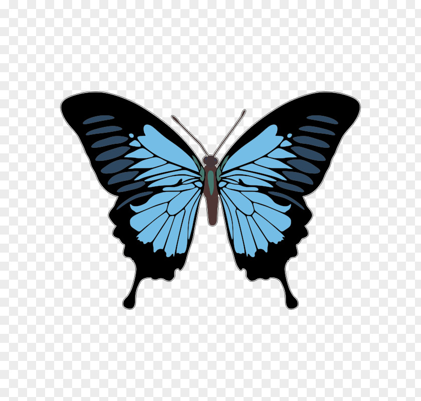Butterfly Lower-back Tattoo Design Fairy T-Shirt PNG