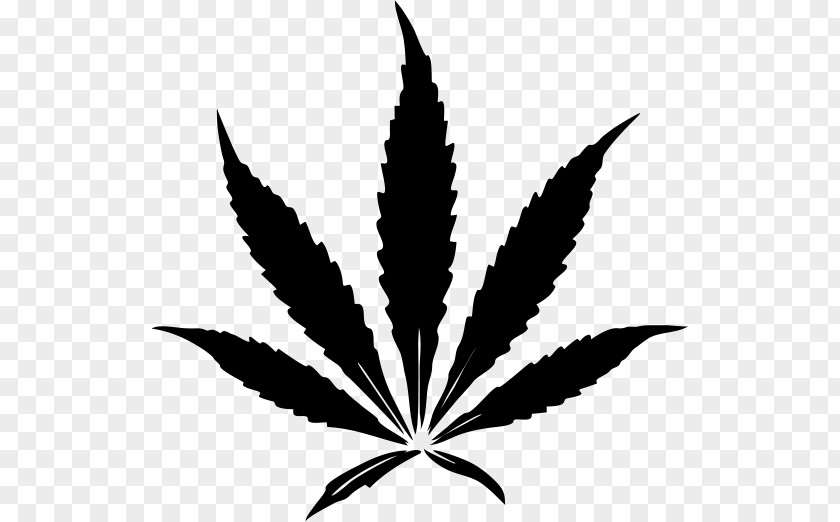 Cannabis Sativa Drawing Leaf Kush PNG