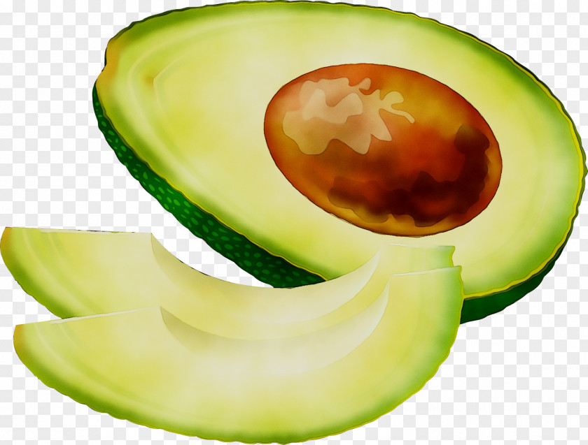 Clip Art Avocado Openclipart Vector Graphics PNG