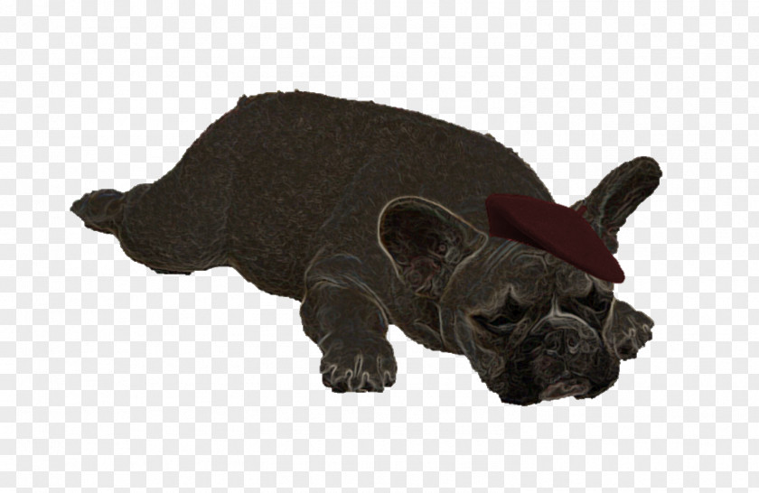 French Bulldog Yoga Puppy Dog Breed Non-sporting Group PNG