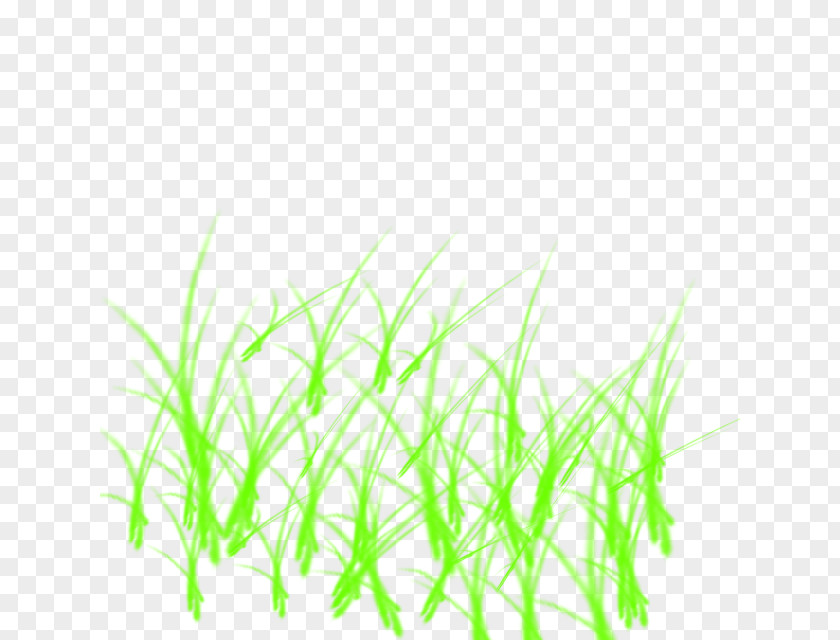 Line Sweet Grass Green Aquarium PNG