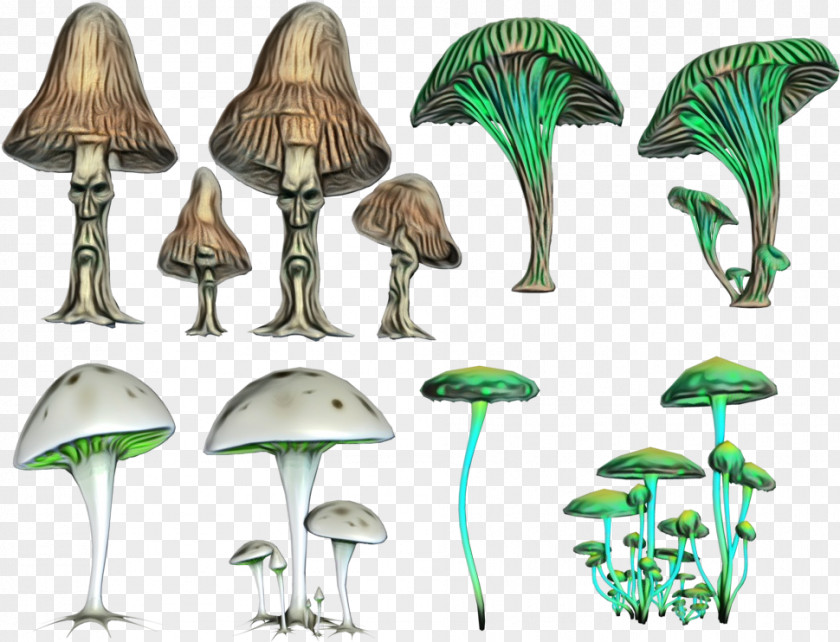 Agaric Plant Stem Mushroom Cartoon PNG