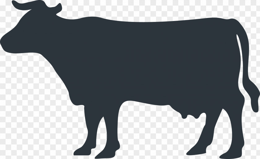 Cow Angus Cattle Silhouette Clip Art PNG