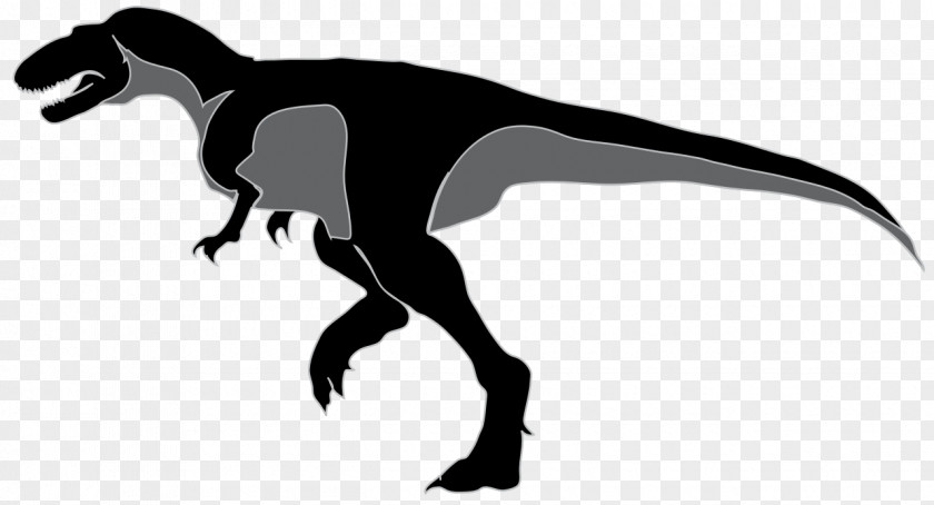 Dinosaur Alectrosaurus Tyrannosaurus Clip Art PNG