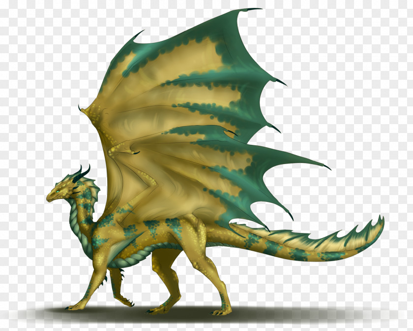 Dragon Dungeons & Dragons Monster Manual Bronze Wizards Of The Coast PNG