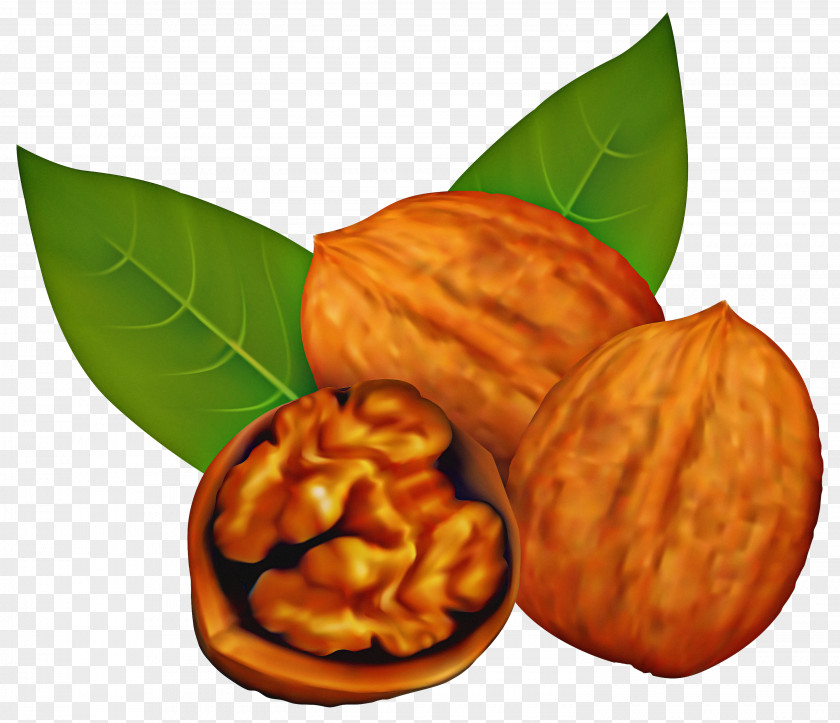 Ingredient Tree Nut Food Walnut Almond Nuts & Seeds PNG