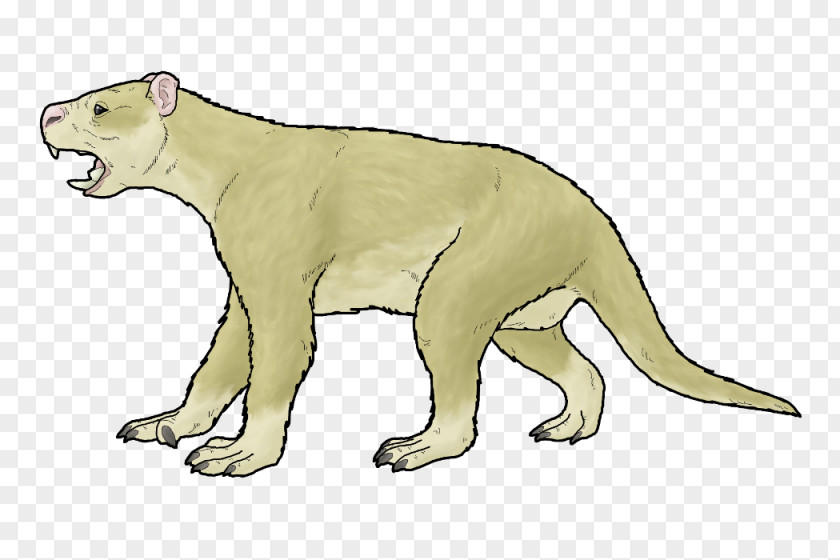 Lion Whiskers Cat Cougar Dog PNG