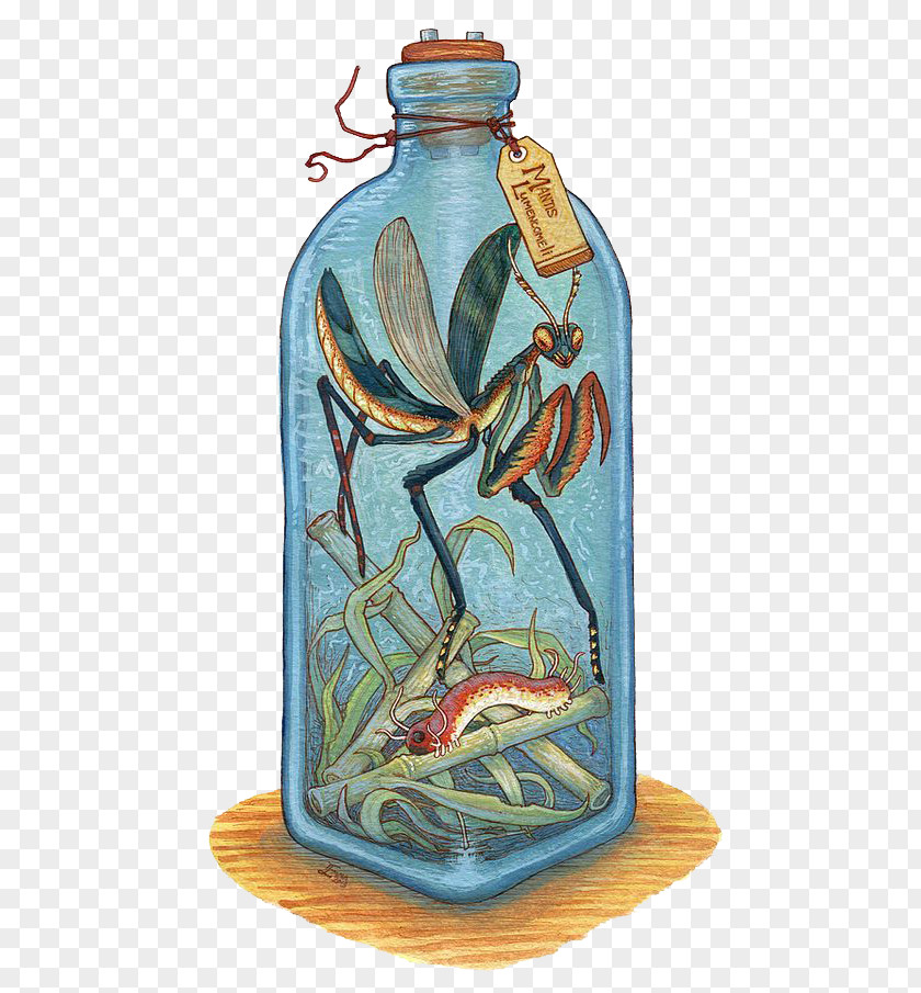 Mantis In A Bottle Legendary Creature Drawing Watercolor Painting Monster PNG
