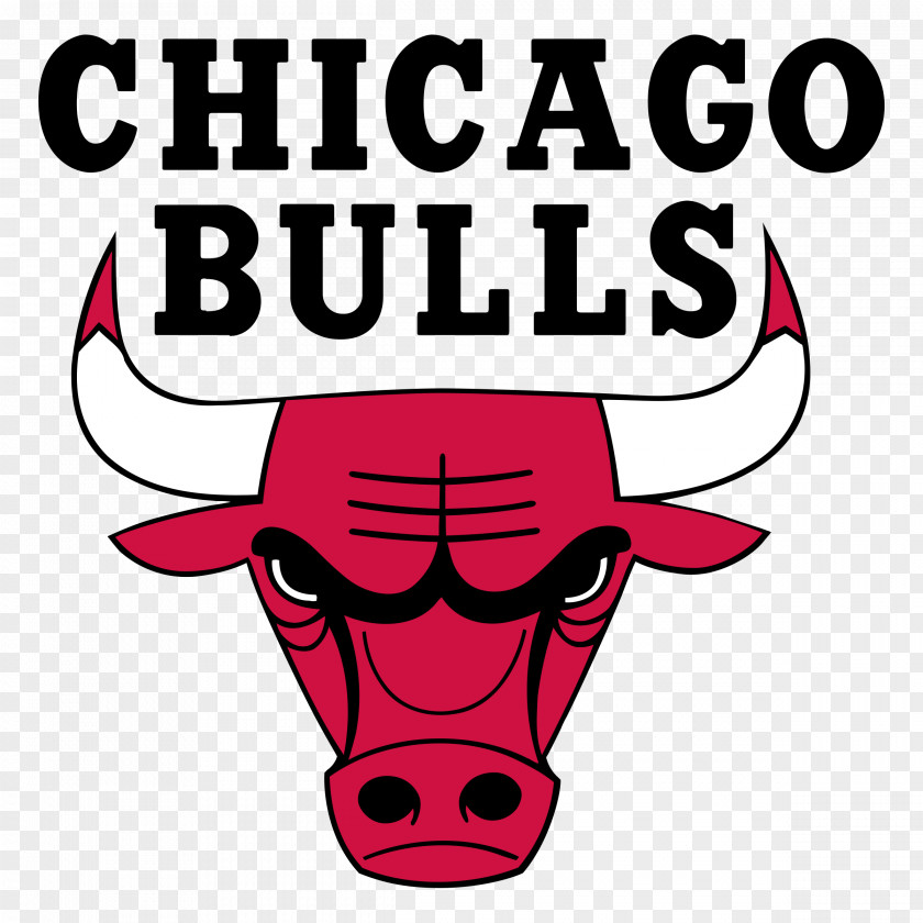 Nba Chicago Bulls NBA Logo Basketball PNG