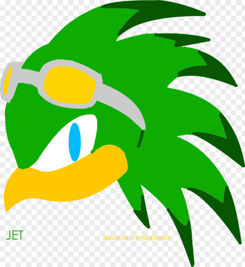 Sonic The Hedgehog 3 Shadow Riders 2 PNG
