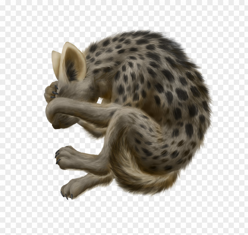 Cheetah Whiskers Wildcat Viverrids PNG