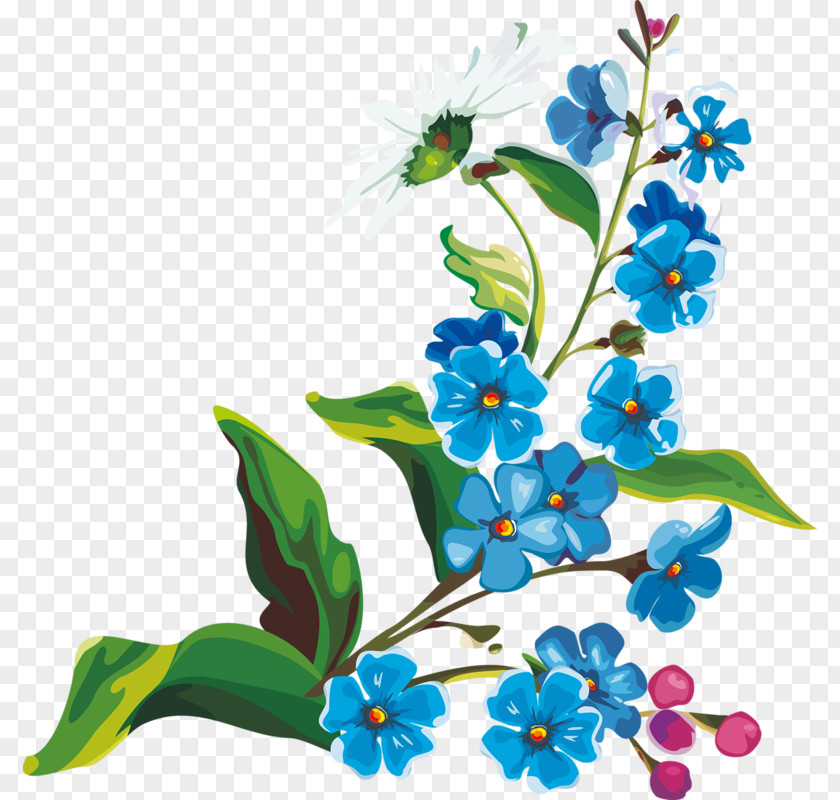 Flower Orchids PNG