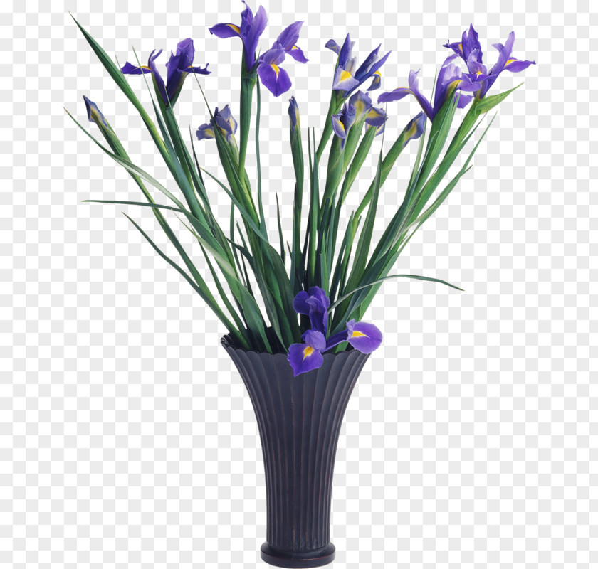 Purple Iris Flower Clip Art PNG