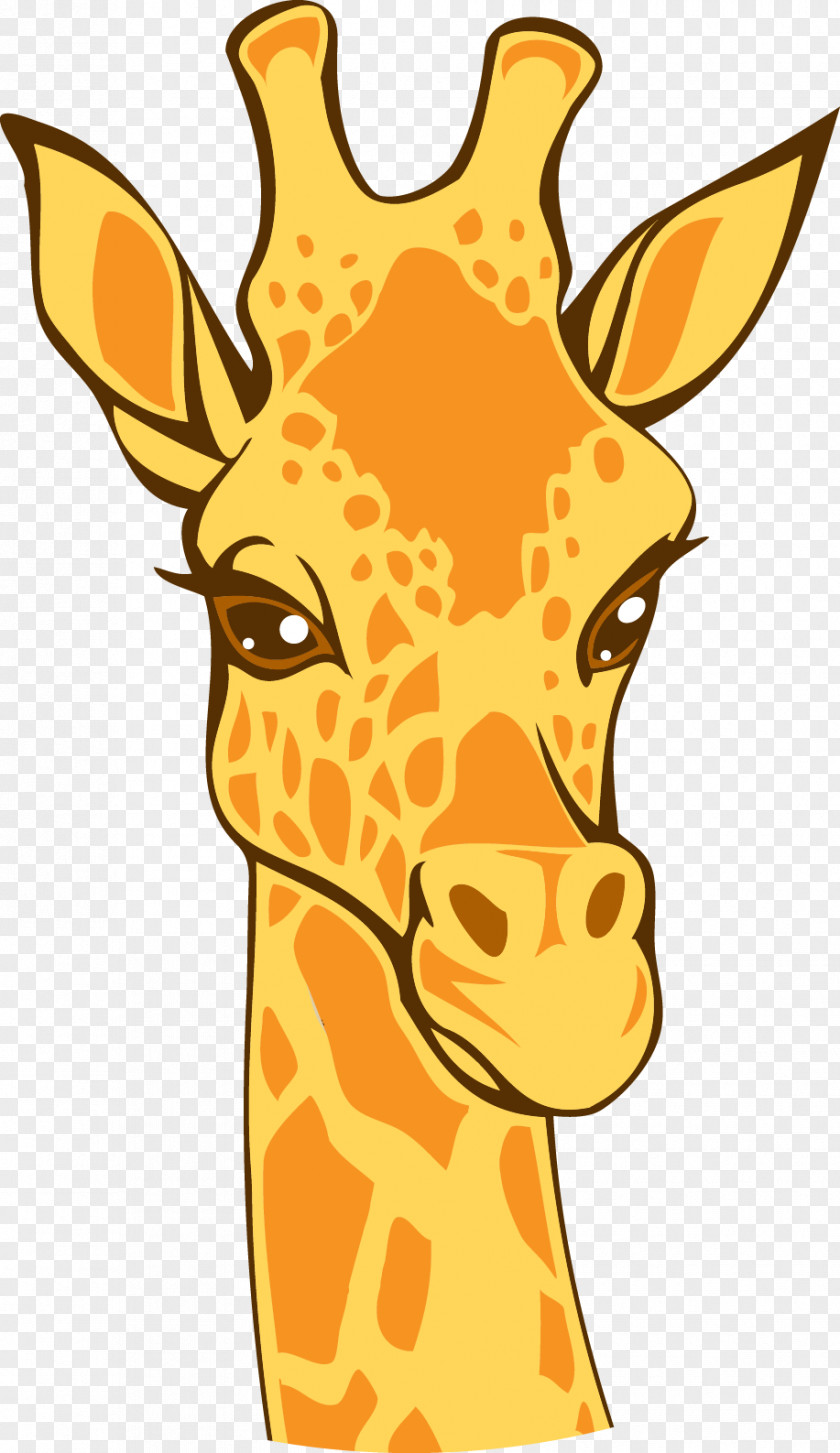 Vector Giraffe Northern Lion Euclidean Illustration PNG