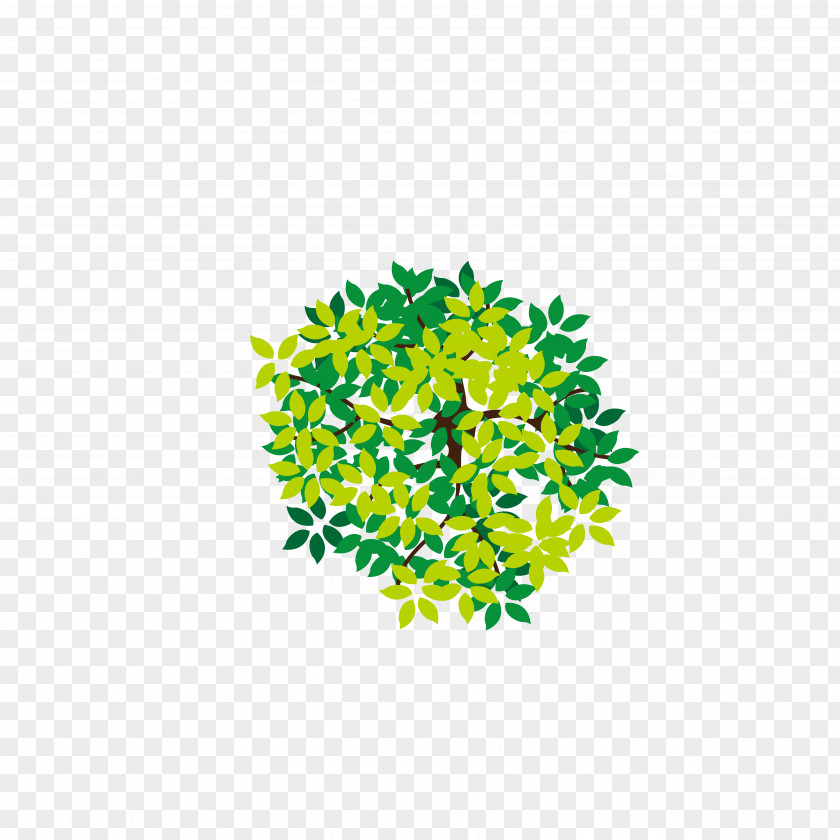 Lush Tree Top Icon PNG