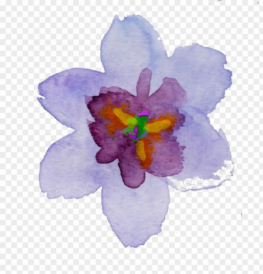 Petal Violet Flower Purple Watercolor Paint PNG