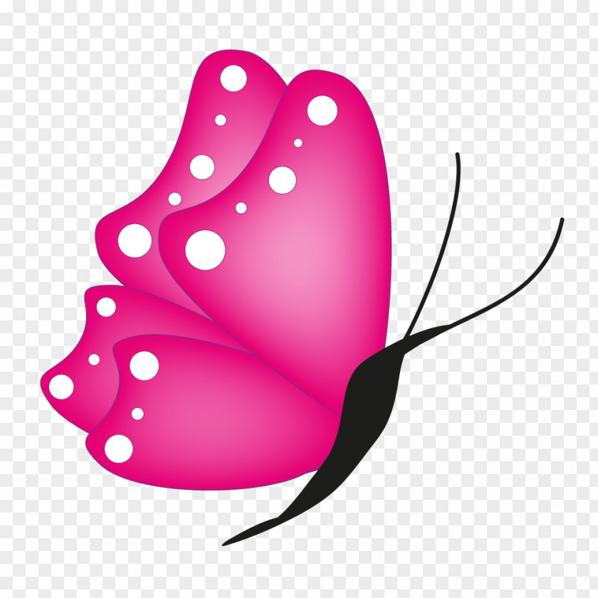 Saint Pink Butterfly Magenta PNG