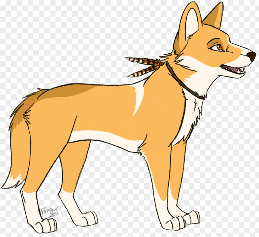 Dog Breed Dingo Drawing PNG
