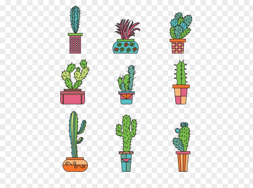 Green Cactus Plant Potted Collection Y Suculentas Cactaceae Drawing Euclidean Vector PNG
