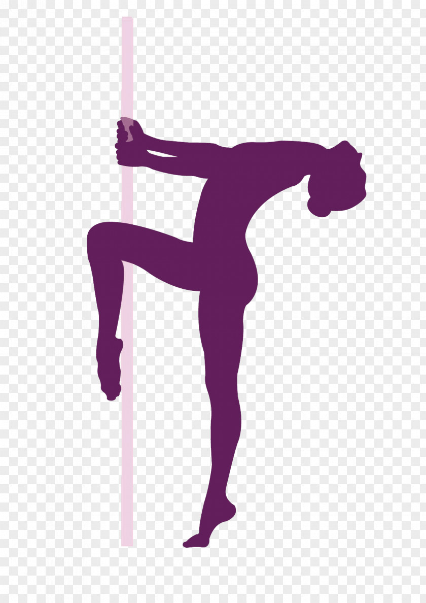 Pole School Dance Acrobatics Shkola Yeleny Marso Sport PNG