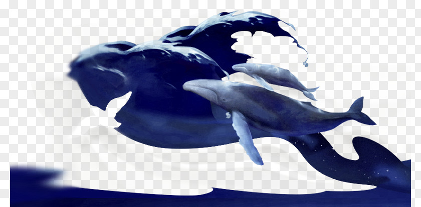 Watercolor Whale Download PNG