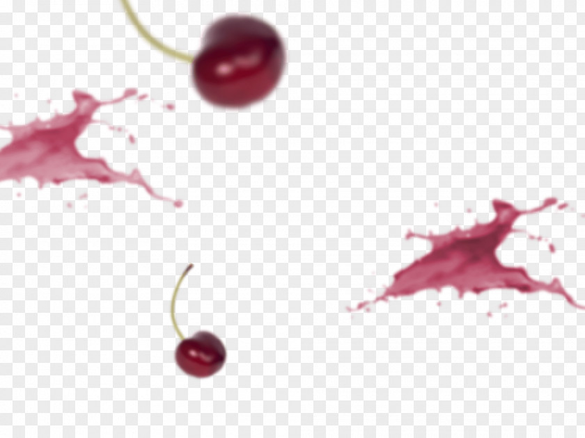 Cherry Cranberry Close-up Auglis PNG