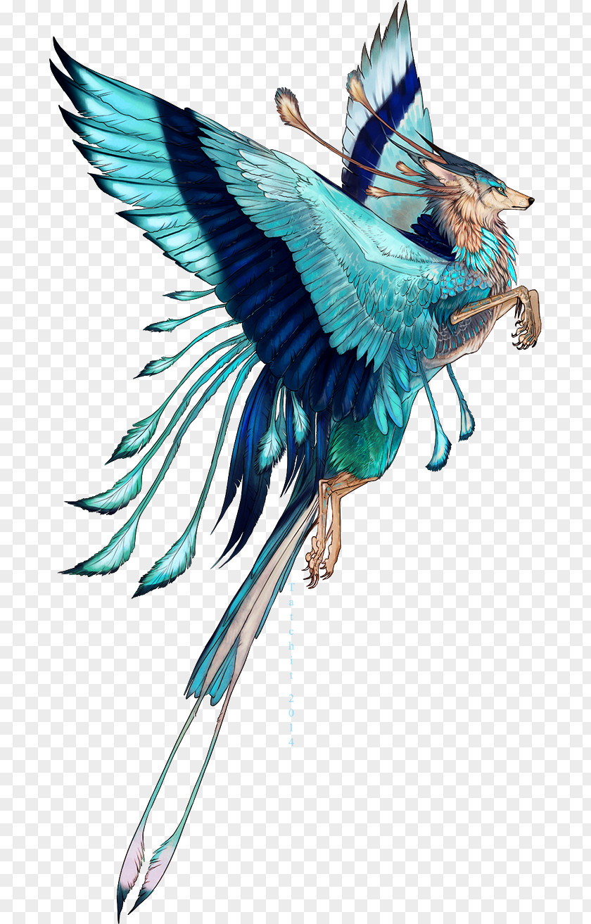 Creature Indian Roller Bird Drawing Art Clip PNG