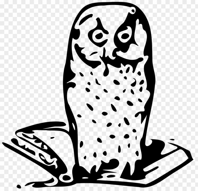 Owl Illustration Book Clip Art PNG