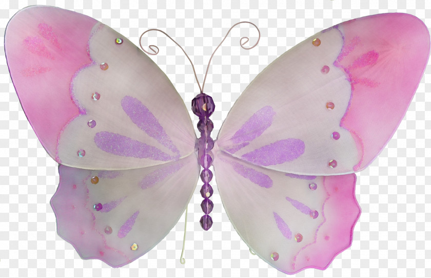 Pieridae Lycaenid Watercolor Butterfly Background PNG