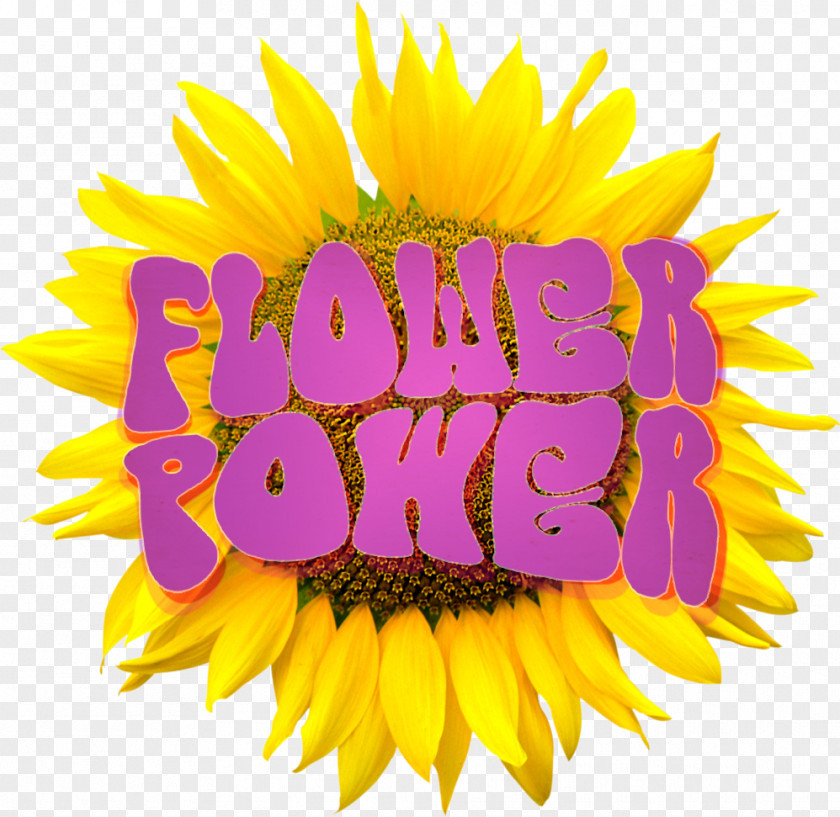 Flower Logo Blumen Sunflower Image Resolution Clip Art PNG