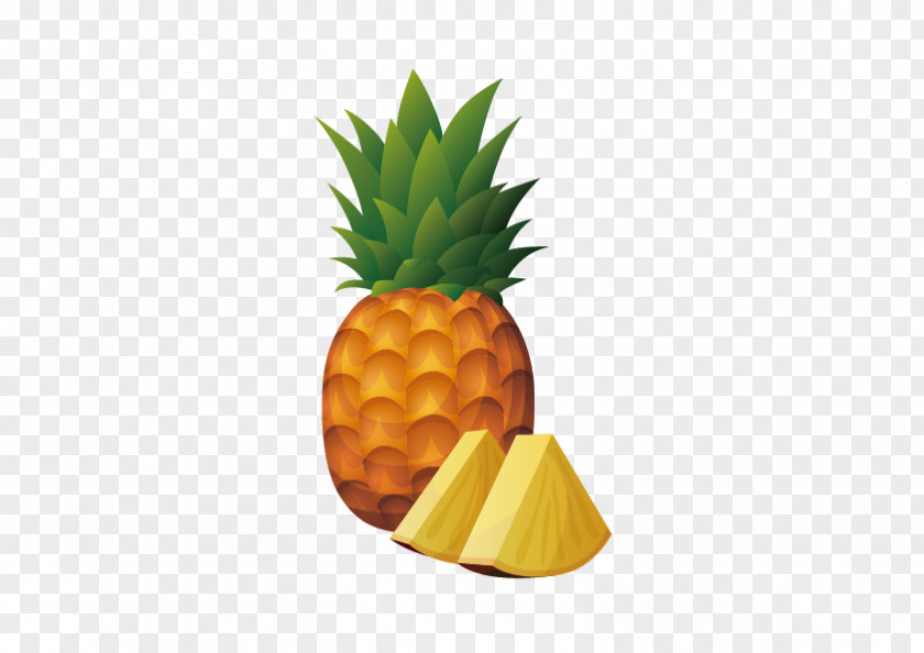 Vector Pineapple Fruit Food Illustration PNG