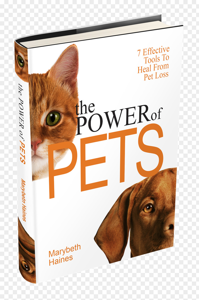Dog Kitten Cat Whiskers Book PNG