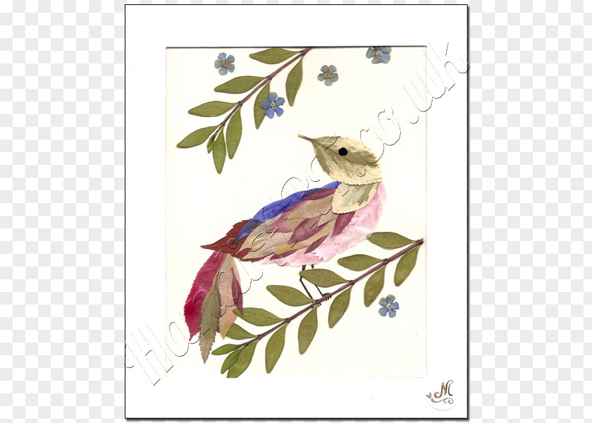 Feather Beak Fauna Character Flowering Plant PNG