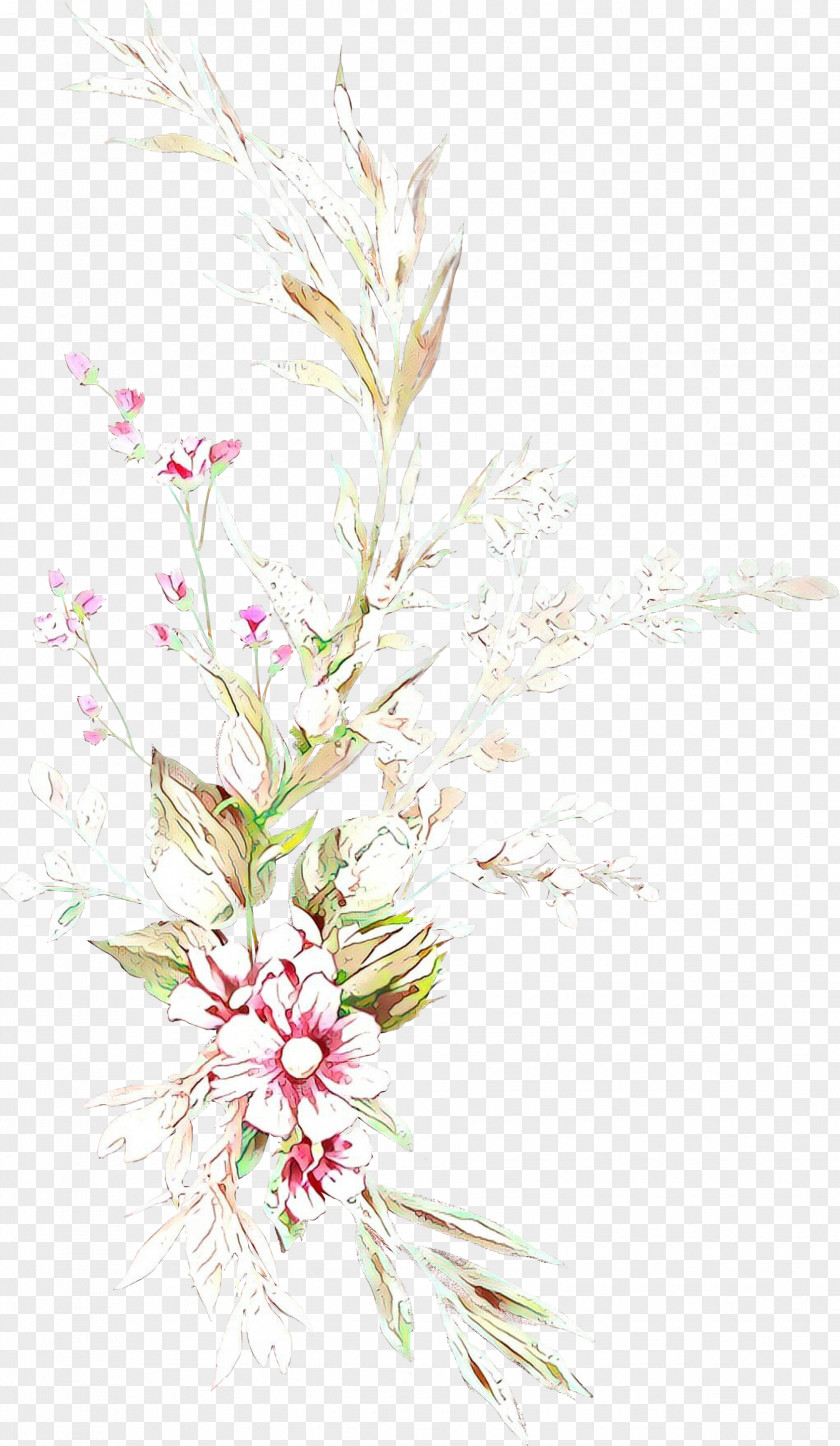 Pedicel Grass Flower Plant Flowering Pink Family PNG