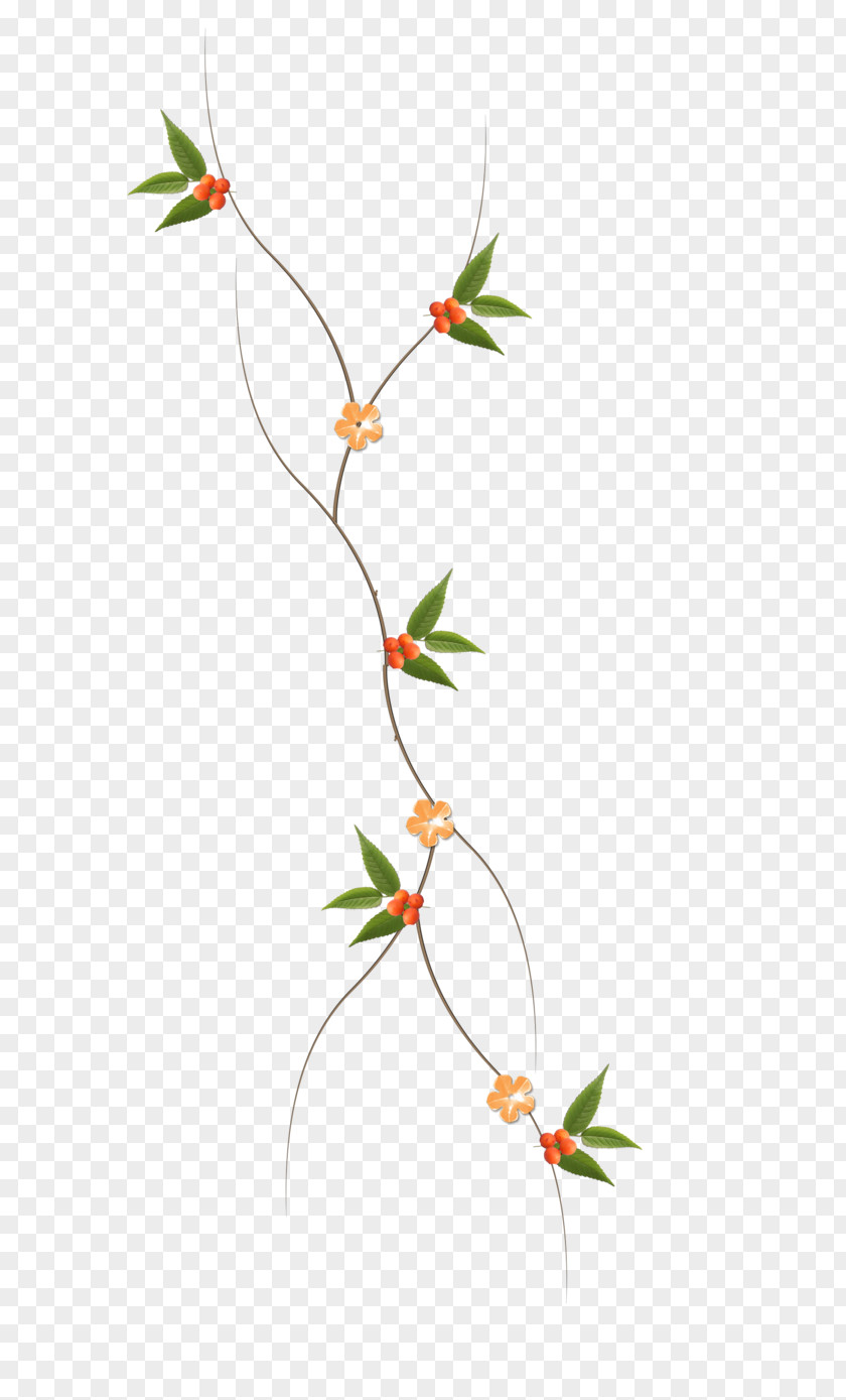 Photoshop Twig Leaf Plant Stem Clip Art Design PNG