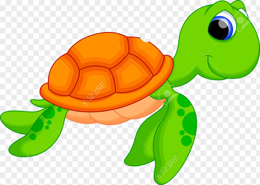 Turtle Drawing Cartoon PNG