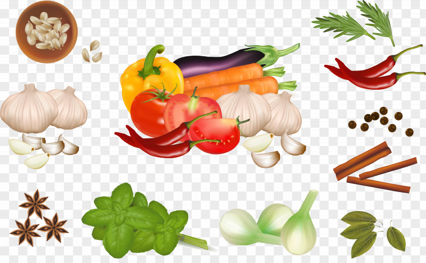 Vector Organic Vegetables Spice Chili Pepper Clip Art PNG