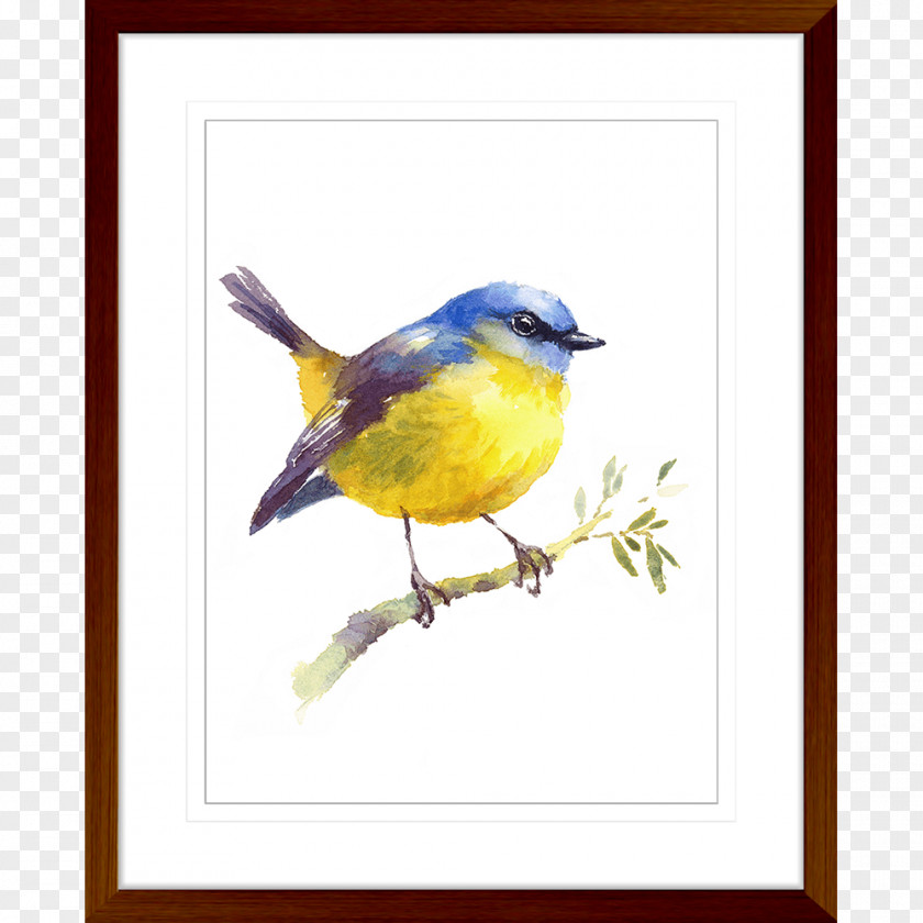 Bird Art Watercolor Painting Oil PNG