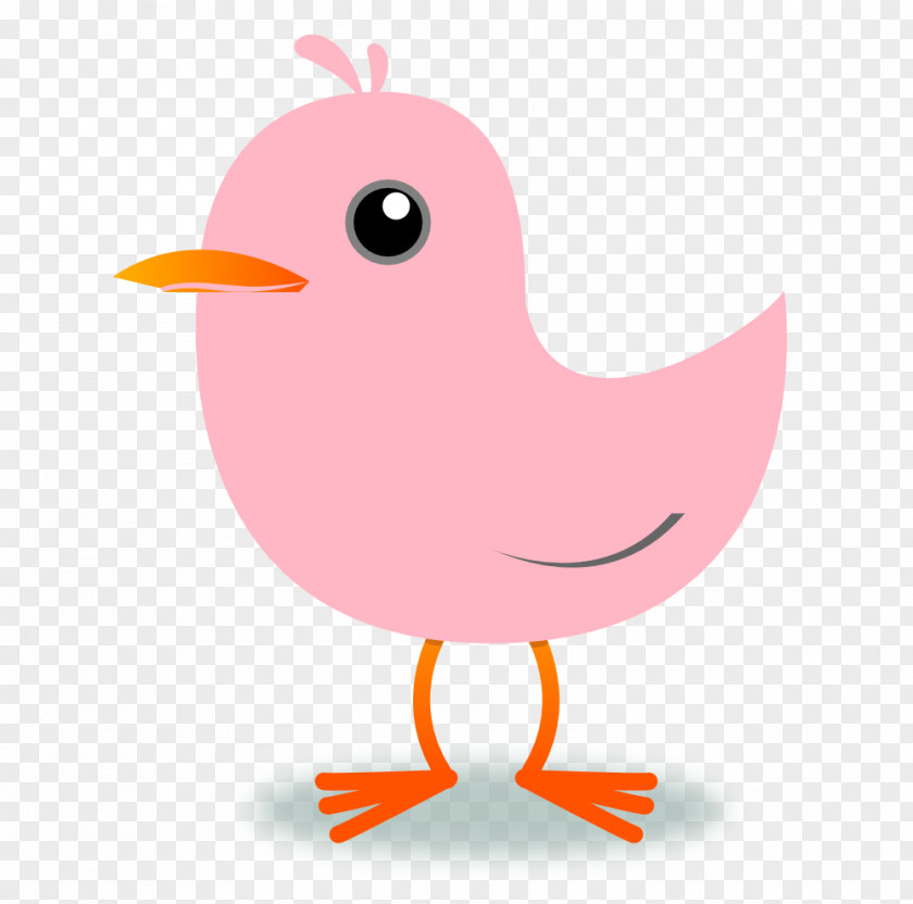 Cherry Picture Bird Drawing Clip Art PNG