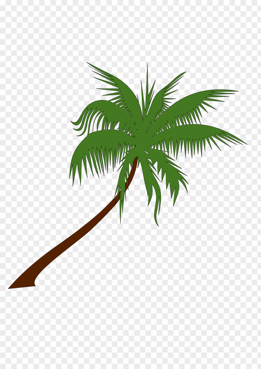 Coconut Tree Free Download Arecaceae Clip Art PNG