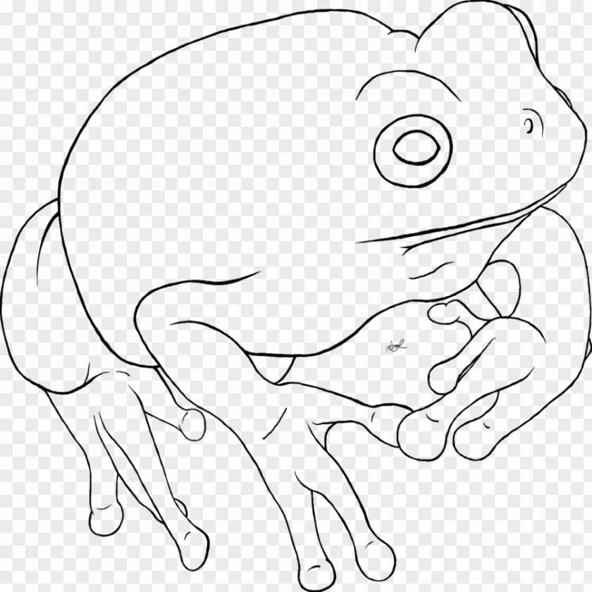 Frog Clipart Black And White Drawing Line Art /m/02csf Clip PNG