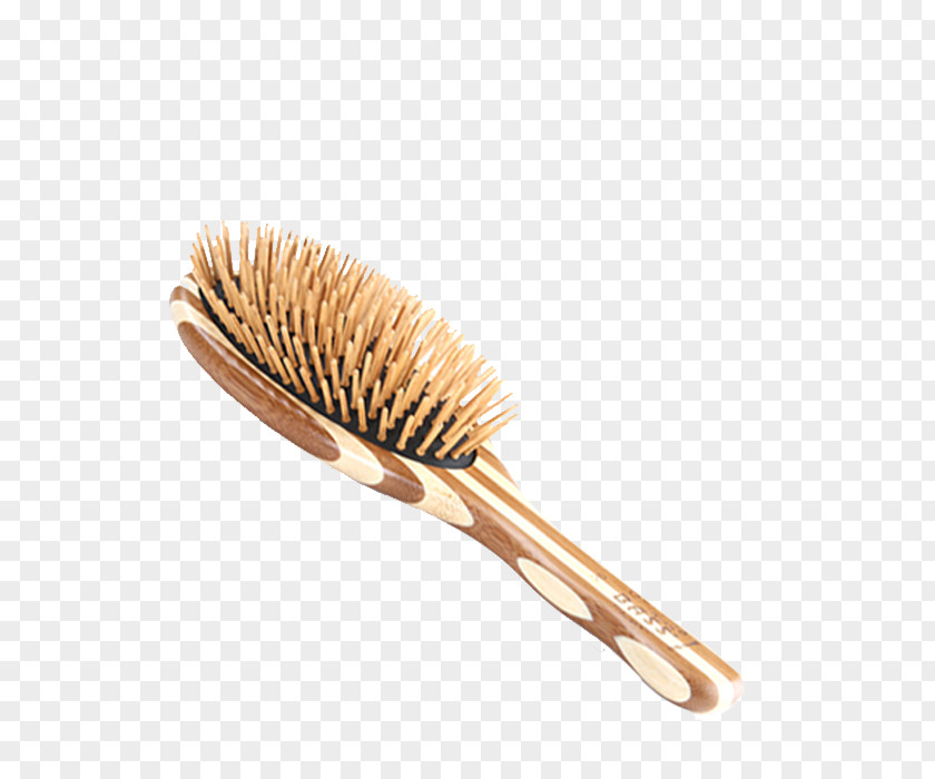 Hair Hairbrush Comb Børste PNG