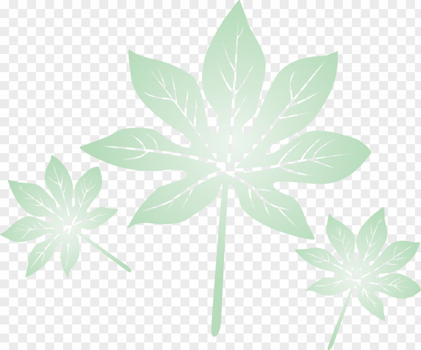 Leaf PNG