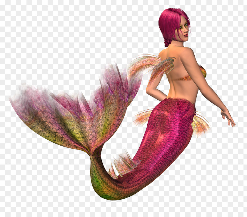 Mermaid Photography PNG