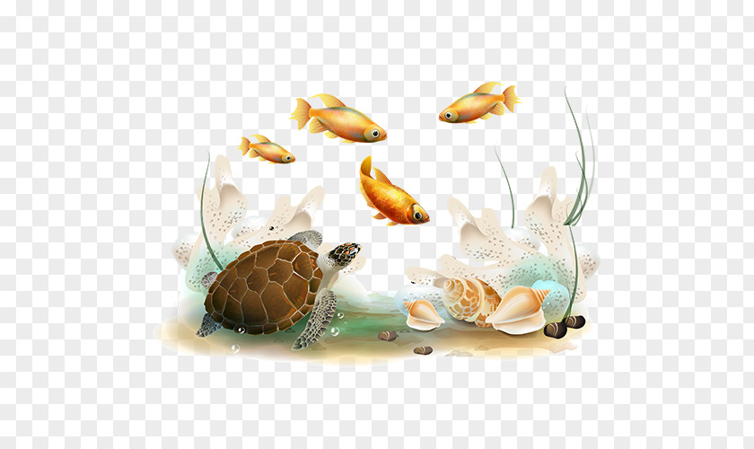 Pond Turtle Reptile Sea Background PNG