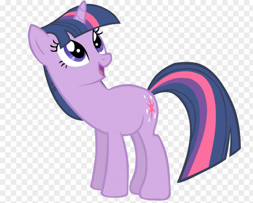 Twilight Pony Sparkle BronyCon Pinkie Pie Princess Celestia PNG