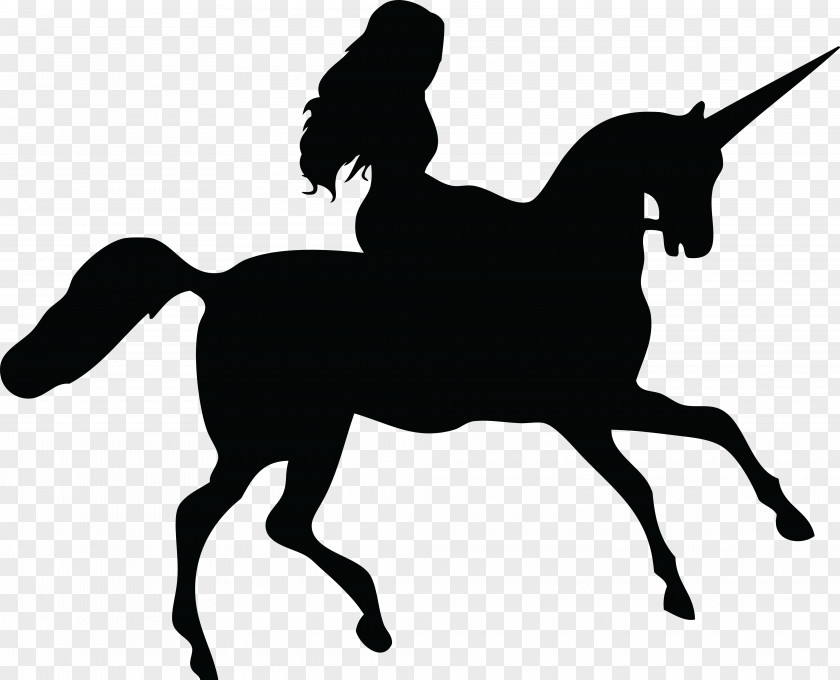 Animal Silhouettes Horse Silhouette Equestrian Clip Art PNG